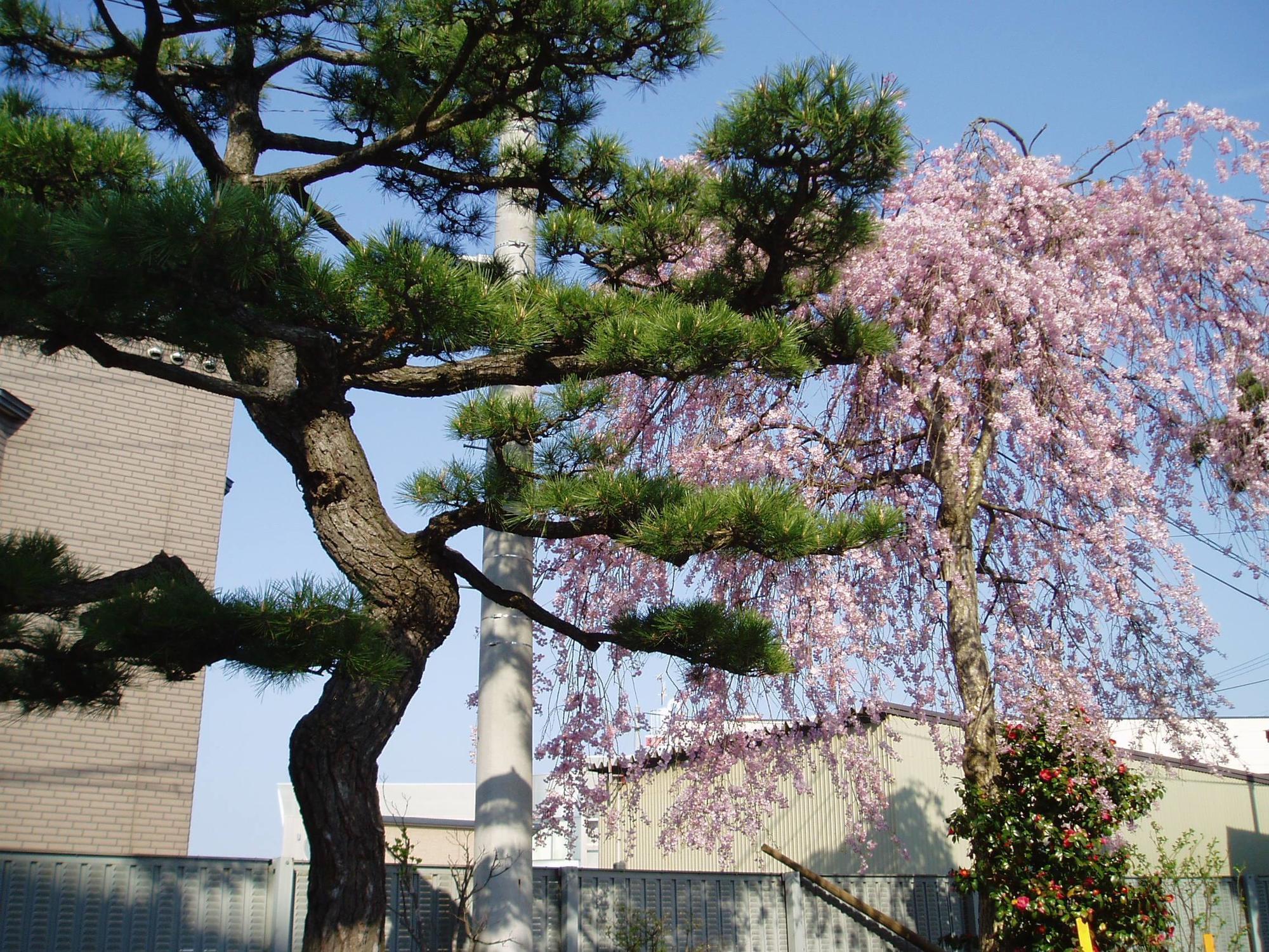 Mutsu Park Hotel Exterior foto