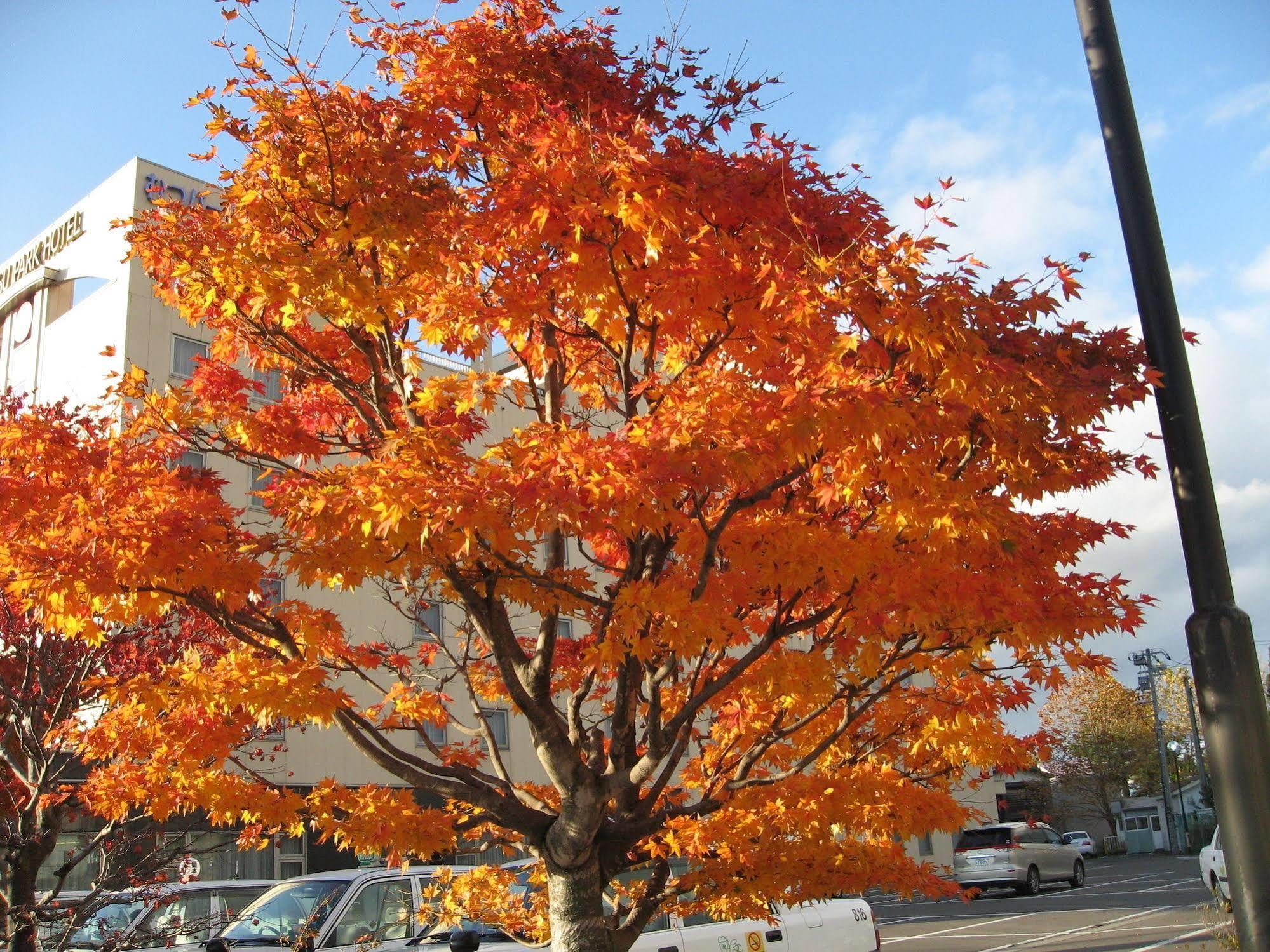 Mutsu Park Hotel Exterior foto